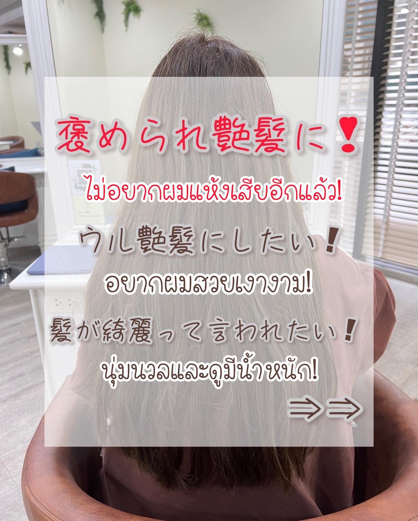 My Image 43