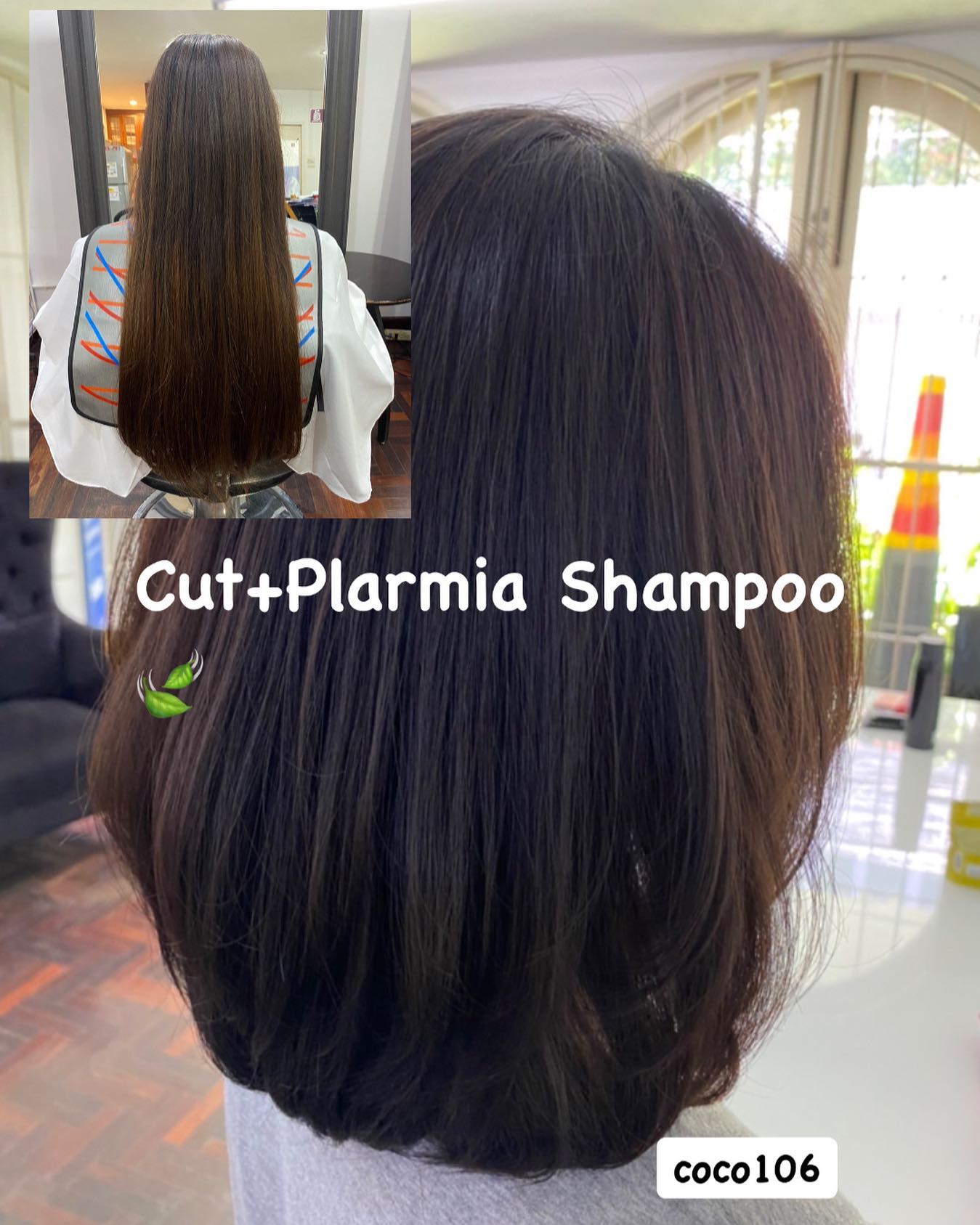 Cut +Plarmia Shampoo
ทำผมโดยช่างญา ช่างทำผมสไตล์ญี่ปุ่น '  สวัสดีค่ะ วันนนี้ลูกค้ามาตัดเพราะจะเอาผมไปบริจาค ทางร้านรู้สึกยินดีด้วยมากๆค่ะ และทรงผมสั้นวันนี้ทำให้ลูกค้าดูเด็กลง เหมาะกับลูกค้ามากๆ ลูกค้าก็ชอบมากค่ะ
ขอบคุณลูกค้าทุกท่านที่เจ้ามาใช้บริการค่ะ  Free Parking 
ลูกค้าสามารถจอดรถที่ร้านได้เลยค่ะ 
ร้านเปิดให้บริการ 9.00-18.30 
อีก1ช่องทางการติดต่อ, เช็คโปรโมชั่นทางร้านหรือจองคิวทำผม สามารถแอดไลน์ของทางร้านได้เลยค่ะ
LINE account
https://lin.ee/3Cm0Ksiac  #106hair #coco106 #sukhumvit39 #ร้านทำผม106coco #ร้านทำผม106 #สระโซดาสปา #ไฮไลท์สีผม #ทำสีผม #ร้านทำผม #ร้านทำผมในกรุงเทพ #ร้านเสริมสวยในกรุงเทพ