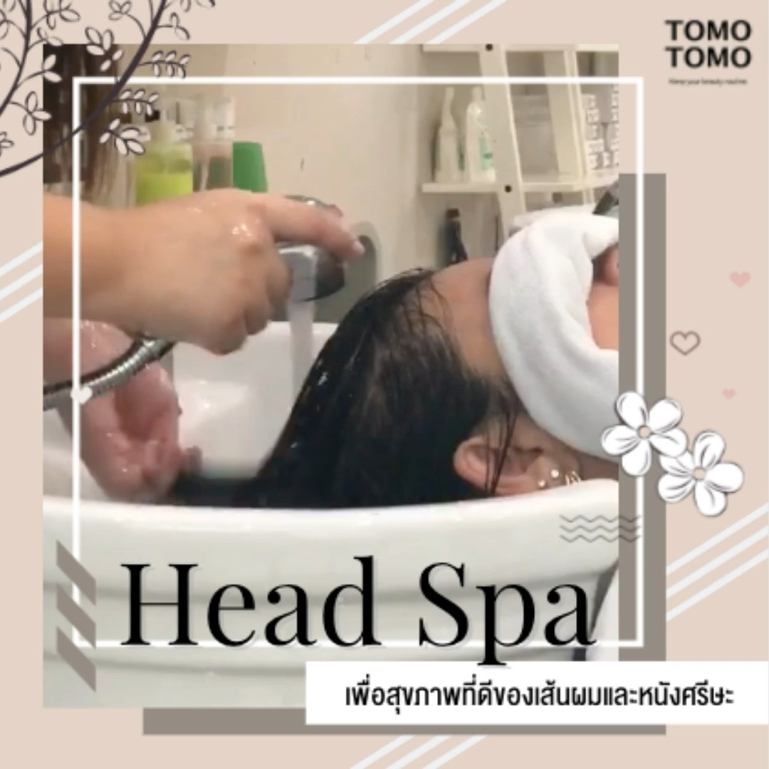 ️Head Spa เพื่อสุขภาพที่ดีของเส้นผมและหนังศรีษะ รับรองผ่อนคลาย สบายสุดๆ จองเลย  Head Spa สุดรีเฟรชมีให้เลือก 4 คอร์ส️  Signature Head Spa สปาดั้งเดิมของทางร้านที่มีแชมพูและทรีตเม้นท์หลากหลายให้คุณได้เลือก  Deep Head Spa สปาที่ใช้แชมพูดีท็อกซ์พร้อมสครับเพื่อขจัดสิ่งสกปรกออกจากหนังศรีษะ หมดปัญหาเรื่อง PM 2.5 บนเส้นผม  Detox Head Spa สปาที่ทำให้เส้นผมที่งอกขึ้นมาใหม่ของคุณแข็งแรง  Detox Deep Head Spa ใช้น้ำมันดีท็อกซ์และใช้เวลาทำนานกว่า ทำให้ผ่อนคลายได้มากกว่า  ลูกค้าสามารถเลือกสูตรในการบำรุงเส้นได้หลากหลายตามความต้องการและสภาพเส้นผมของลูกค้าแต่ละคนได้เลย  ช่วยบำรุงเส้นผมและยังผ่อนคลายสบายศรีษะอีกด้วย!!  ️ จองคิวหรือสอบถามข้อมูล DM หรือ
️ โทร : 02-009-2616 
 Line : @tomotomo
Online Booking: https://reservia.jp/reserve/login/5055?locale=th  #hairstyle #haircut #haircolor #hairfashion #salon #thailand #hairdresser #highlightshair #ทำไฮไลท์ #ทำไฮไลท์สีผม #ไฮไลท์ผม #ทำผม #ยืดผม #ดัดผม #ยืดเคราติน #ยืดวอลลุ่ม #ทำสีผมแฟชั่น #แนะนำร้านทำผม #ร้านทำผมทองหล่อ