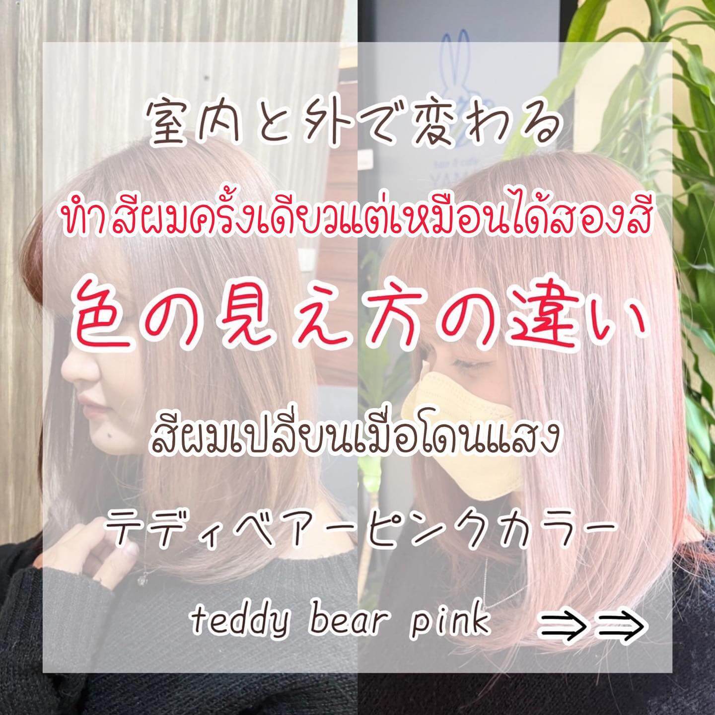 テディベアーピンクカラー  透明感抜群で、柔らかさがあるカラーです❣️  可愛さ、色落ちも楽しめる  テディベアーベージュもまた違う感じになり良いです❣️  色々ご相談くださいね️  お母さんが安心して来店できるように️  Teddy bear pink
เป็นสีที่ความโปร่งแสงและดูนุ่มนวล❣️
ทั้งน่ารักและสีผมสามารถอยู่ได้นานด้วยค่ะ
ถ้าอยากได้สีผมที่ไม่เหมือนใคร Teddy bear pink ก็เป็นตัวเลือกที่ดีมากเลยค่ะ❣️  Stylist Yamada  YAMS hair&cafe  For booking/ご予約、お問い合わせ↓
LINE ID:@qai5573z
Tel:02-163-4973  Business hours/営業時間↓
9:00 - 18:00
Closed on Wednesday,2nd & 4th Thursday  #ร้านทำผมญี่ปุ่น #YAMShaircafe #ตัดผมญี่ปุ่น #ยืดผมญี่ปุ่น #ดัดผมญี่ปุ่น #ร้านทำผม #バンコク生活 #バンコク在住 #バンコク暮らし #バンコク子連れ美容室 #バンコク美容室