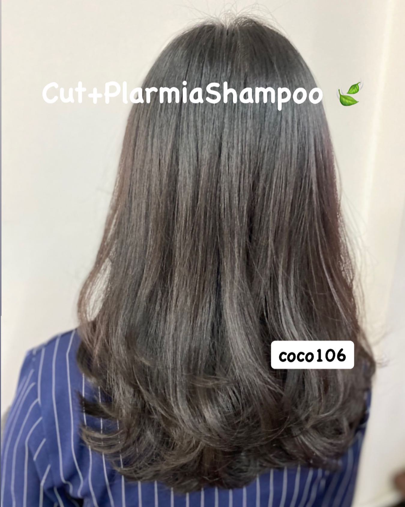 Cut +Plarmia Shampoo 
ทำผมโดยช่างญา ช่างทำผมสไตล์ญี่ปุ่น  Free Parking 
ลูกค้าสามารถจอดรถที่ร้านได้เลยค่ะ  ร้านเปิดให้บริการ 9.00-18.30 
ขอบคุณลูกค้าทุกท่านที่เข้ามาใช้บริการค่ะ
สอบถามเพิ่มเติมหรือจองคิวทำผม
ได้ที่เบอร์โทรศัพ 02-662-7106  อีก1ช่องทางการติดต่อ, เช็คโปรโมชั่นทางร้านหรือจองคิวทำผม สามารถแอดไลน์ของทางร้านได้เลยค่ะ
LINE account
https://lin.ee/3Cm0Ksiac  #106hair #coco106 #sukhumvit39 #ร้านทำผม106coco #ร้านทำผม106 #สระโซดาสปา #ไฮไลท์สีผม #ทำสีผม #ร้านทำผม #ร้านทำผมในกรุงเทพ #ร้านเสริมสวยในกรุงเทพ