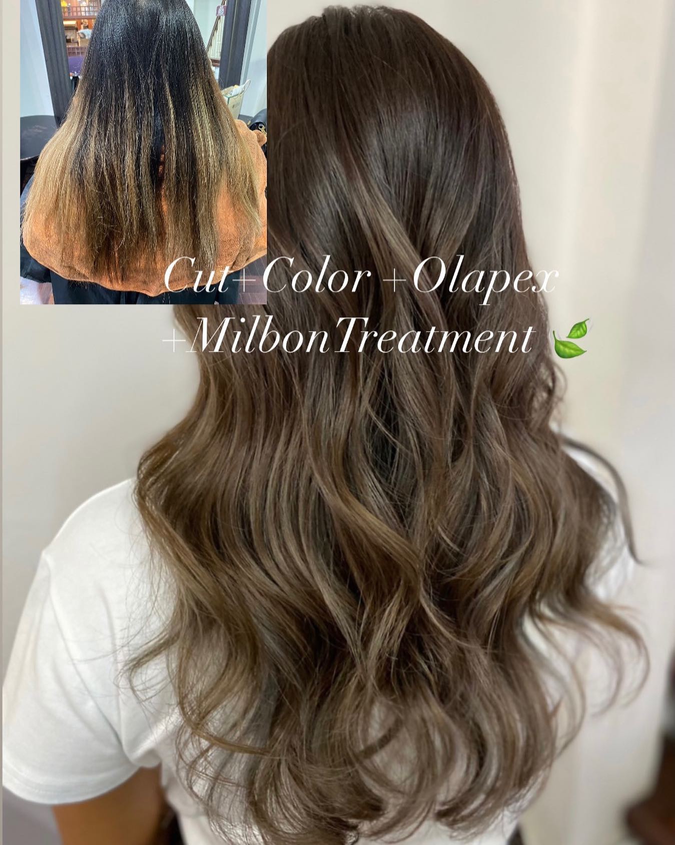 Cut+ Color +Olapex +MilbonTreatmen
ทำผมโดยช่างญา ช่างทำผมสไตล์ญี่ปุ่น '
️บริการที่จอดรถ ค่ะ  ร้านเปิดพร้อมให้บริการแล้วนะคะ
ลูกค้าสามารถเข้ามาใช้บริการ หรือโทรเข้ามาสอบถามจองคิวได้เลยค่ะ  ยินดีให้คำปรึกษาก่อนมาใช้บริการ🥰🥰
ร้านเปิดให้บริการ 9.00-18.30  ขอบคุณลูกค้าทุกท่านที่เข้ามาใช้บริการค่ะ
สอบถามเพิ่มเติมหรือจองคิวทำผม
ได้ที่เบอร์โทรศัพ 02-662-7106
ลูกค้าสามารถจอดรถที่ร้านได้เลยนะคะ  อีก1ช่องทางการติดต่อ, เช็คโปรโมชั่นทางร้านหรือจองคิวทำผม สามารถแอดไลน์ของทางร้านได้เลยค่ะ
LINE account
https://lin.ee/3Cm0Ksiac  #106hair #coco106 #sukhumvit39 #ร้านทำผม106coco #ร้านทำผม106 #สระโซดาสปา #ไฮไลท์สีผม #ทำสีผม #ร้านทำผม #ร้านทำผมในกรุงเทพ #ร้านเสริมสวยในกรุงเทพ