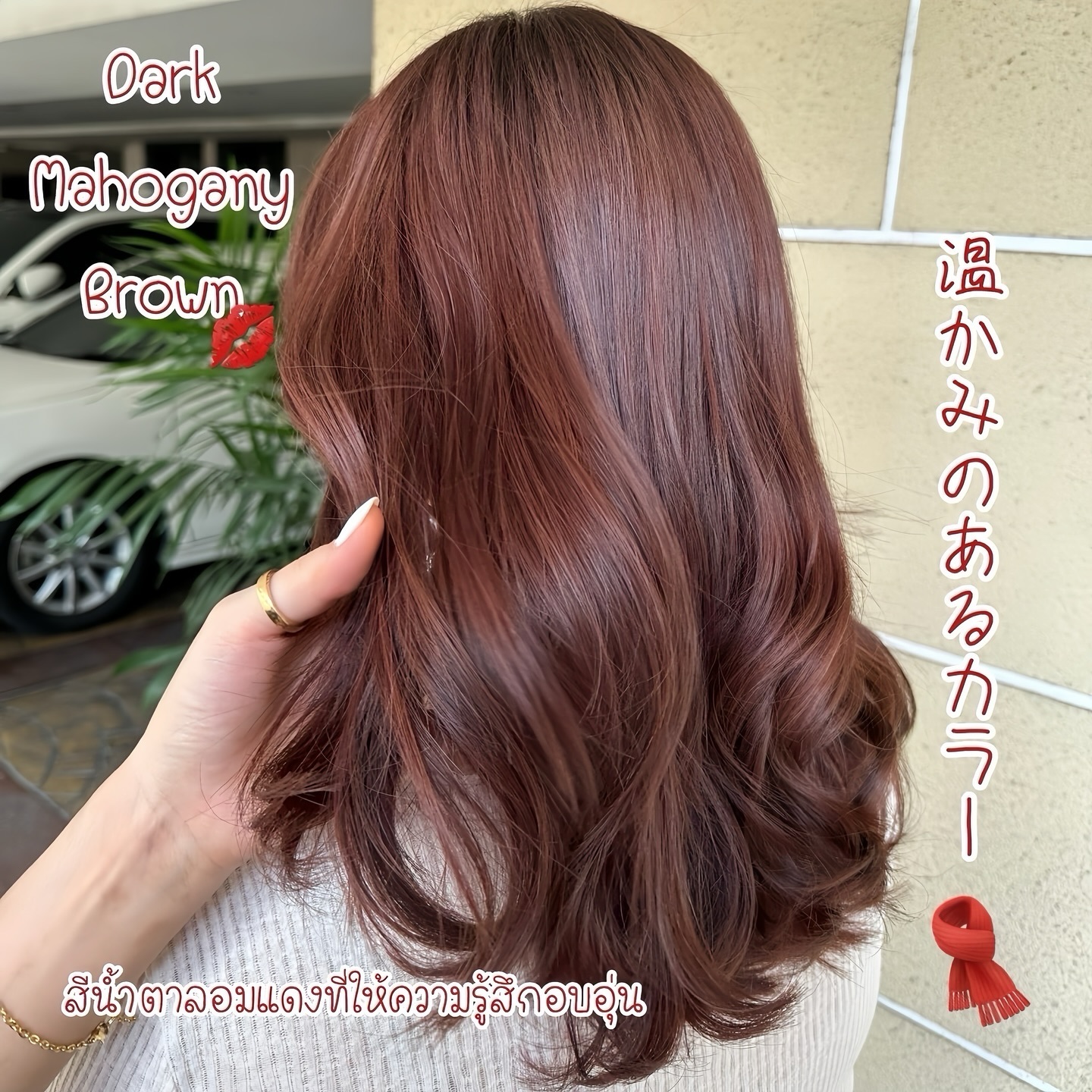 Dark Mahogany Brownสีน้ำตาลอมแดงที่ให้ความรู้สึกอบอุ่นและเป็นมิตร🧣เหมาะกับช่วงหน้าหนาวนี้มากๆ เลยค่ะ🌬️