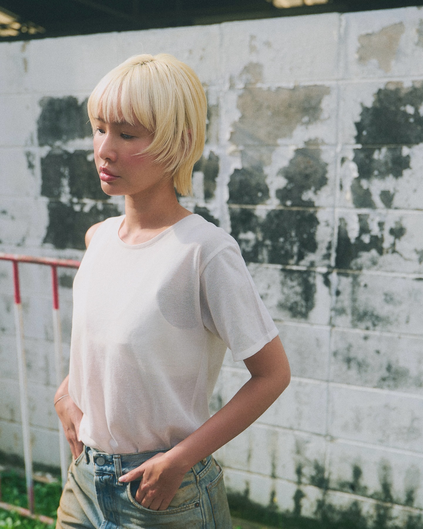 Bob+Wolf=Boblf‍♀️
In Japan this hairstyle is called Boblf.
Depending on how you style it, you can make it look like a bob or a wolf cut.  h/ph...Art Director  Special Thanks.
@fearnne  @hide.selected  ｜ 081-980-9047
｜ LINE OFFICIAL: (@)aletro
｜ 10 AM - 7 PM
• Closed on Mon (4th Mon & Tue of month) •  สอบถามพื้นที่จอดรถเพิ่มเติมได้นะคะ
#ร้านทำผม #ทำผมสวย #ทำสีผม #ตัดผม #ซาลอนกรุงเทพ #ผมสวย #สปาผม #ทรงผมแฟชั่น #ผมสุขภาพดี #luxurysalon #HairSalonBangkok #HairColor #HairCut #バンコクヘッドスパ　 #バンコクヘアサロン 
#ALetro #SignatureStyle #NaturalEdge