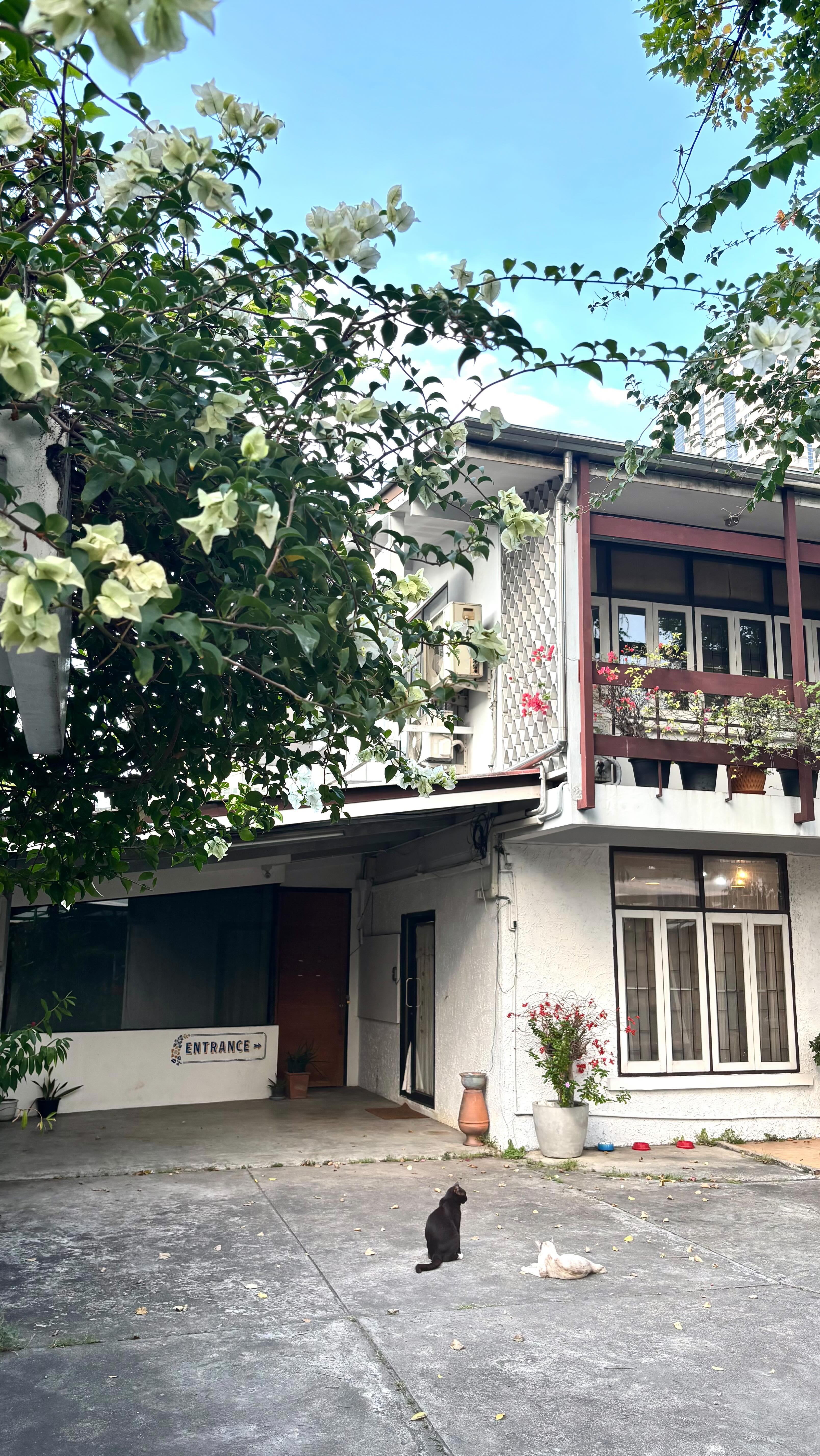 Layer it your way 
Wolf cut / Mullet / Hime cut
Hair color or perm?
Bangs or no bangs?  Mix & match.
Which look is you?  Book now 
Reservations are available via LINE, DM, or phone. ️  CUCHU Hair Design 
Sukhumvit 26
🧡0923581442
LINE @774kdscr