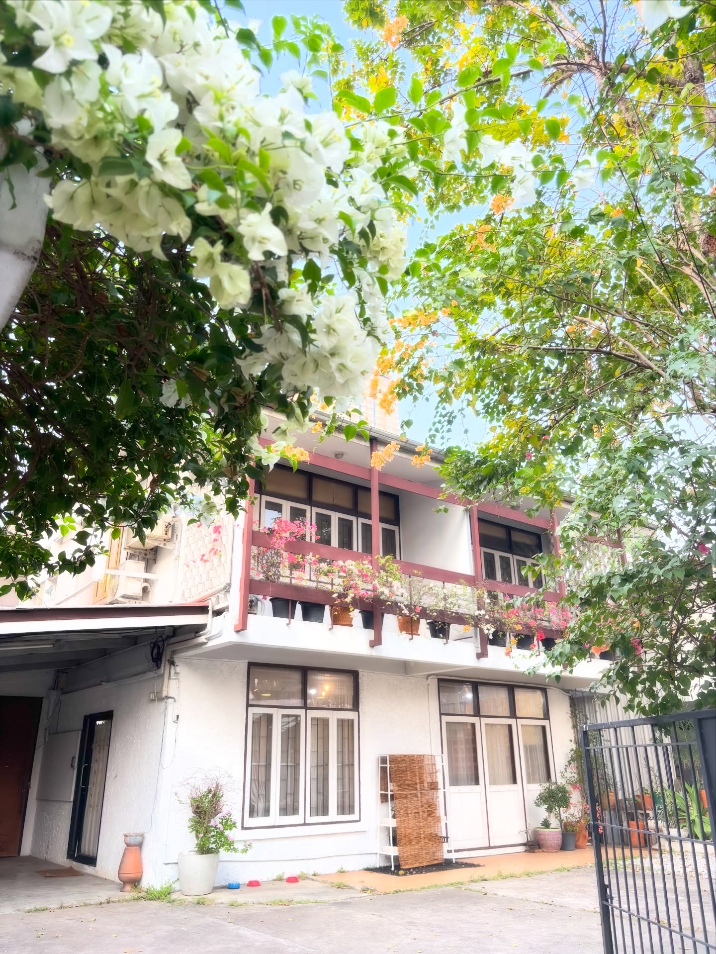 This week’s days offWe will be closed 
on Monday Feb 16 and Wednesday Feb 18.  Appointments are available on the other days ️
We look forward to seeing you  CUCHU Hair Design 
Sukhumvit 26
🧡0923581442
LINE @774kdscr