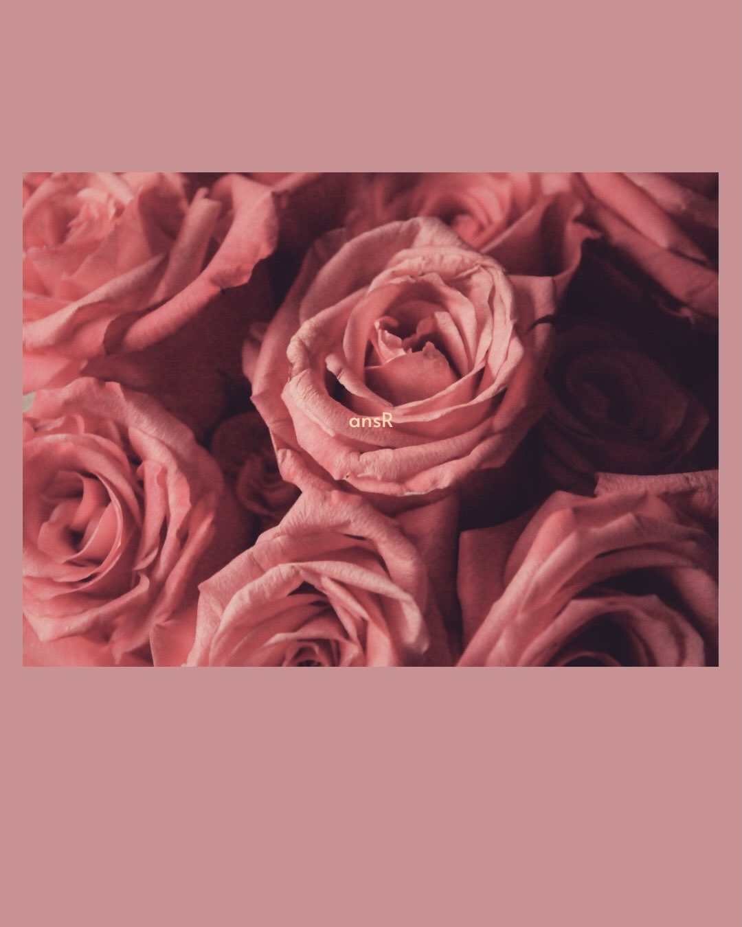 美容にも効果大  チェンマイのオーガニックダマスクローズ100%で作った贅沢で香り高いローズティー🫖
“バラの女王”と称されるその気品ある香りが、心と体を優しく包み込みます。
ノンカフェインでリラックスタイムにもぴったり♪  10パック入り
1袋300バーツ❣️
2袋購入で500バーツ(1袋250バーツ)
3袋購入で600バーツ(1袋200バーツ)  Relax TimeRose Tea
ชากุหลาบออร์แกนิค มีวิตามินซีสูง ช่วยเสริมภูมิคุ้มกันและช่วยระบบย่อยอาหาร
ช่วยบำรุงผิวพรรณ ผ่อนคลายความเครียด ดีต่อระบบไหลเวียนโลหิต 
 1 แพ็ค 300 บาท
 2 แพ็ค 500 บาท
 3 แพ็ค 600 บาท