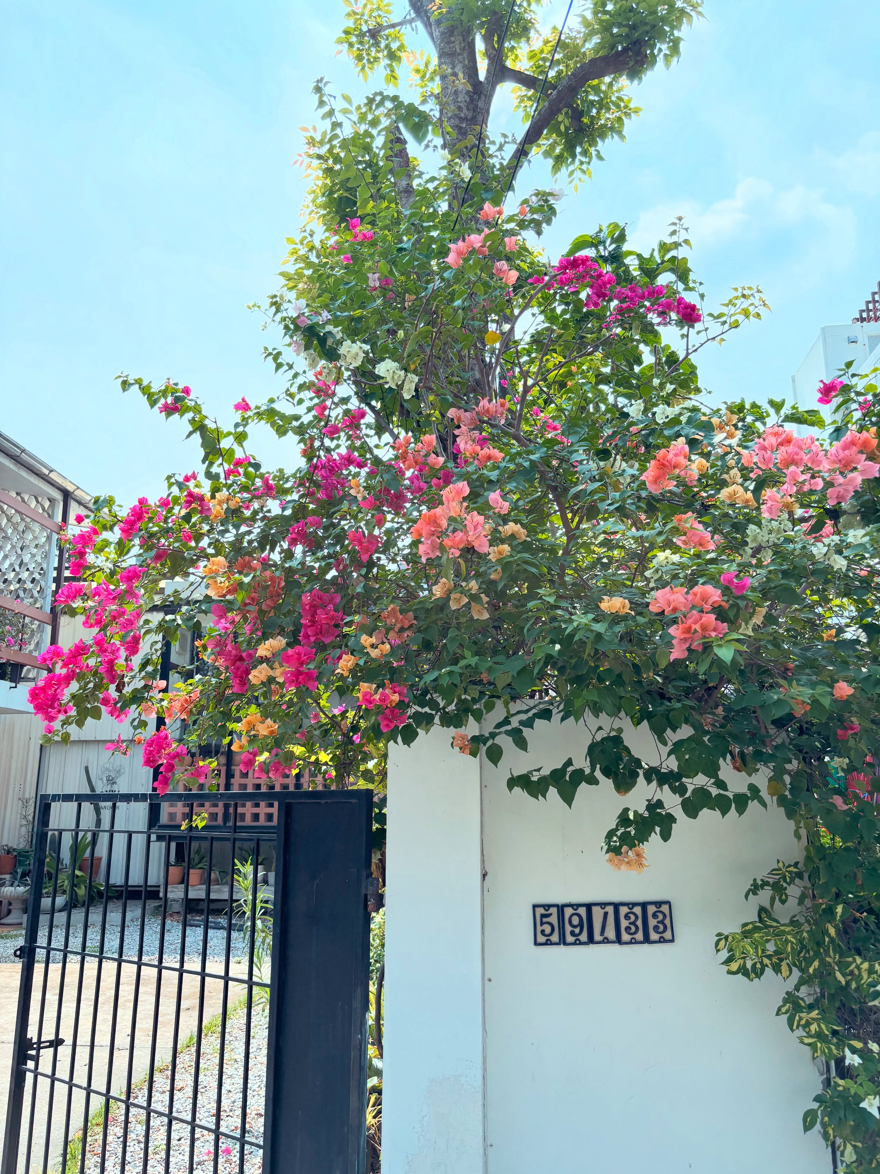 Notice We will be closed on Monday, May 25th
Sorry for the inconvenience to everyone who planned to visit We’ll be back and looking forward to seeing you again on Tuesday ️
Thank you always ️